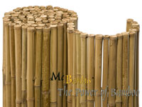 Mc-Bambus Windeck Detailansicht  Bambusrollzaun Natur
