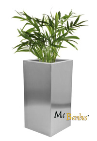 Mc-Bambus Pflanzgef in Blockform 60 x 60 x 30 cm