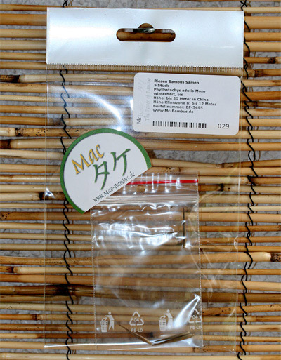 Mc-Bambus: Phyllostachys pubescens Moso - Ernte Oktober 2025 - Ort: Windeck