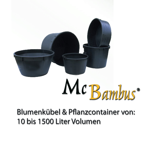 Mc-Bambus: Container / Pflanzgefe in verschiedenen mit und ohne Lochung - Ort: Windeck